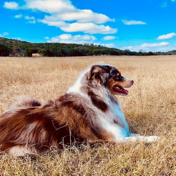 Meet your Posher, Adam - Picture 1 of 1